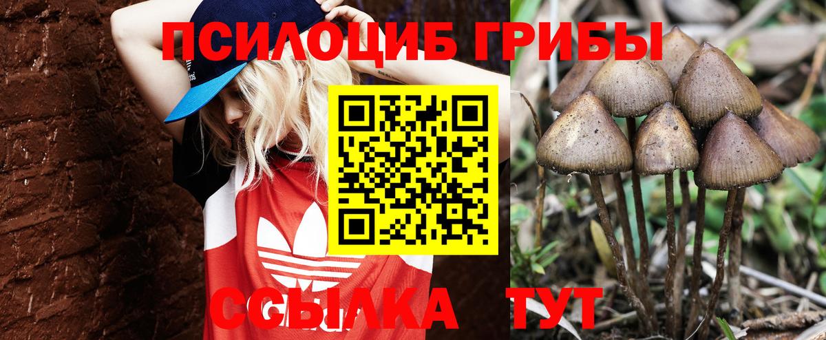 Магадан  Псилоцибиновые грибы мухоморы  Галлюциногенные грибы Cubensis  Вход с VPN 